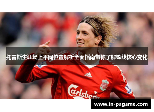 托雷斯生涯场上不同位置解析全面指南带你了解锋线核心变化