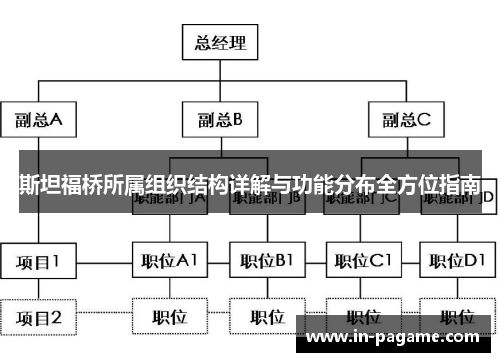 斯坦福桥所属组织结构详解与功能分布全方位指南
