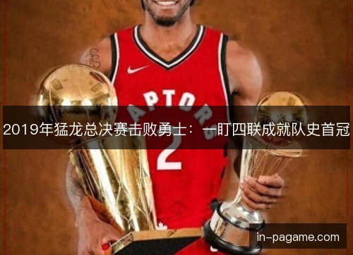 2019年猛龙总决赛击败勇士：一盯四联成就队史首冠